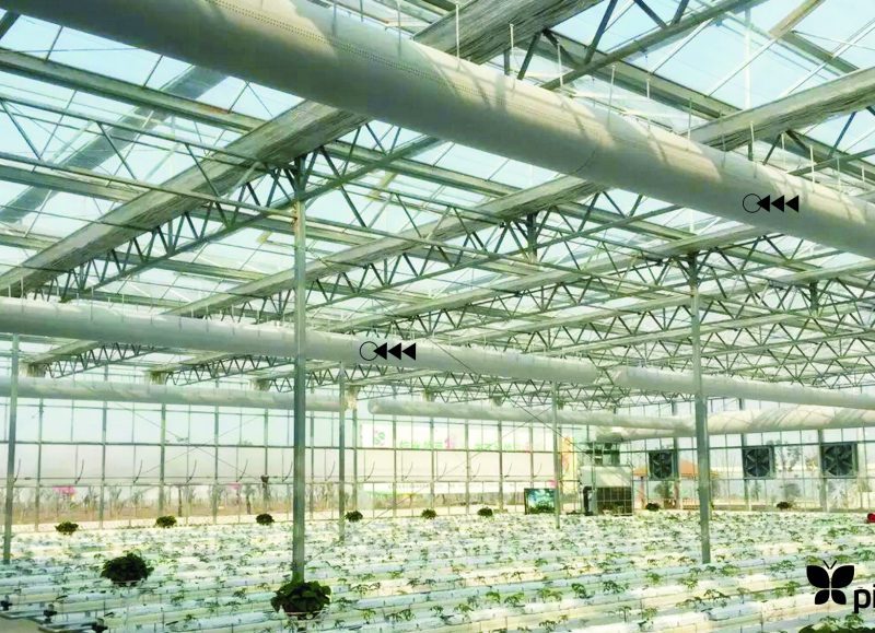 Tavukçuluk ve Seracılık