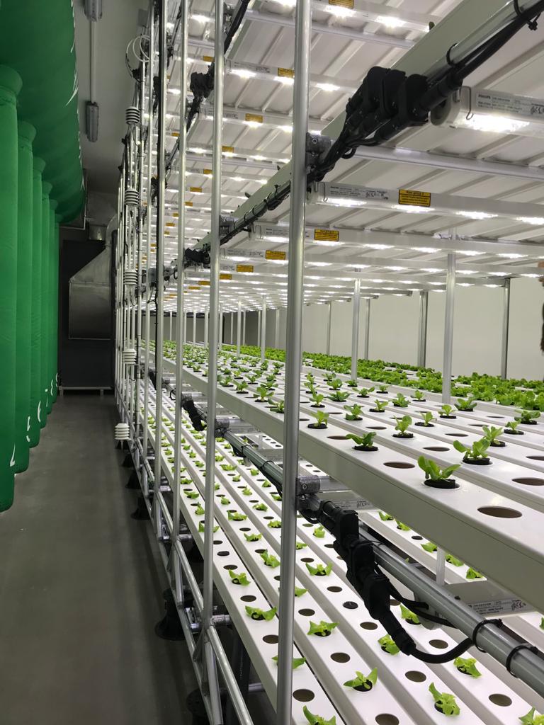 Plant-Factory-2